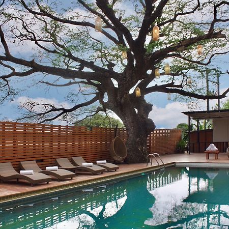 Bamboori Boutique Resort Чиангмай Екстериор снимка
